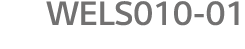 WELS010-01