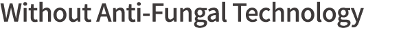 Without Anti-Fungal Technology