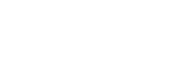 NAP4201 Limed Ash