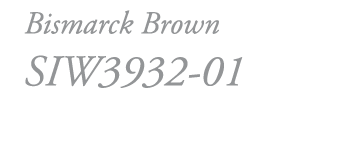 Bismarck Brown SIW3932-01