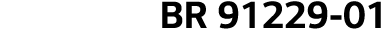 BR 91229-01