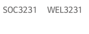 SOC3231,WEL3231,