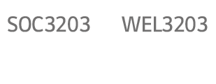 SOC3203,WEL3203,