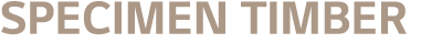Specimen Timber 