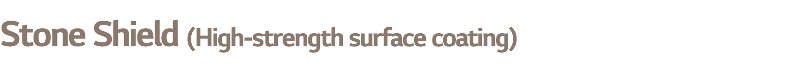 Stone Shield (High strength surface coating)