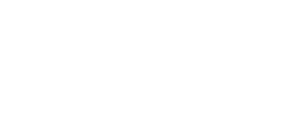1381  Classic Acorn 