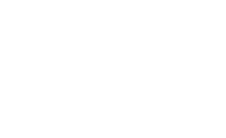 6238  Champagne Beige 