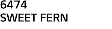 6474  SWEET FERN
