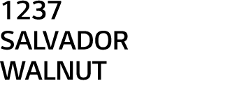 1237 SALVADOR WALNUT 