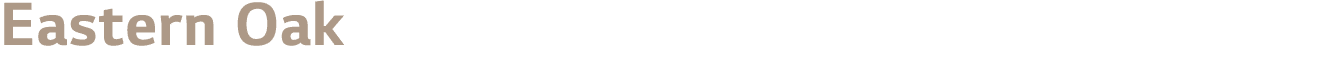 Eastern Oak 