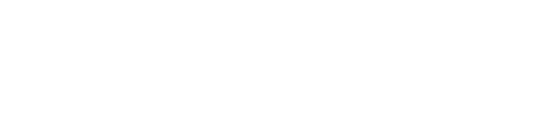 Live Oak and the Spanish Moss Tree represent the Savannah region   Show the traces of the enduring of the years  Bran   